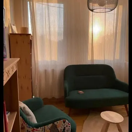 Vila Petersen Sibiu