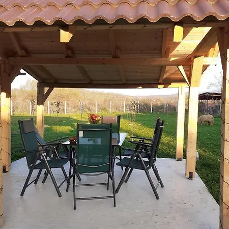 Villa Petersen Sibiu