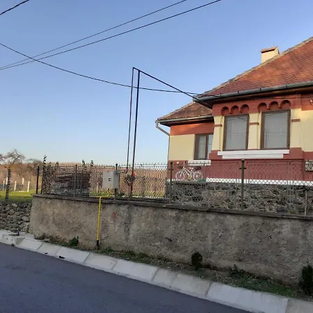 Villa Petersen Sibiu
