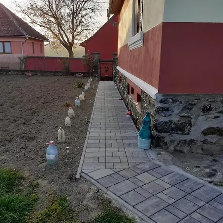 Villa Petersen Sibiu